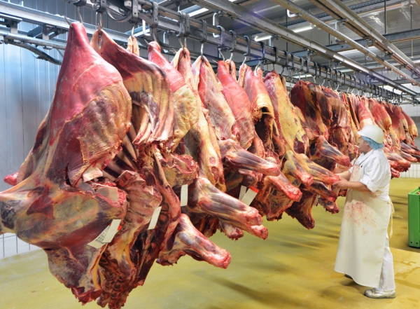 내년 전세계 돼지고기 생산량이 증가할 전망이다.