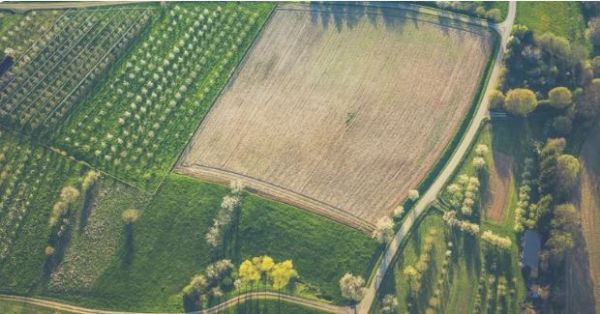 크롭세이프가 제공하는 위성 사진. 위성 사진을 통해 농장 상황을 파악할 수 있다.