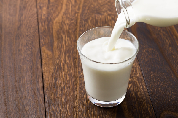 피그맨텀은 유전자 변형된 상추에서 우유 단백질을 추출해 대체우유를 만들 수 있는 기술을 개발했다.