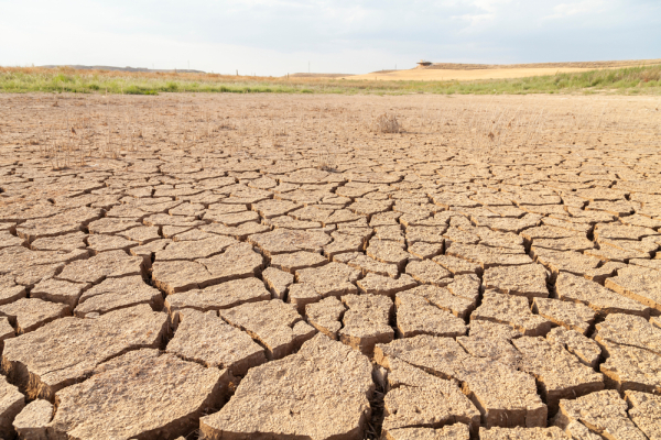 기후변화로 돌발가뭄 발생 빈도가 증가한 것으로 나타났다.